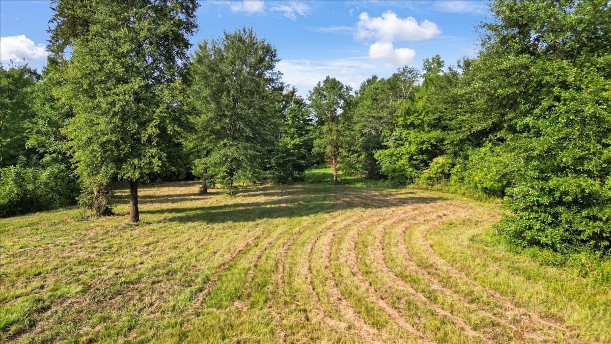 32 acres in Upshur County - photo 9