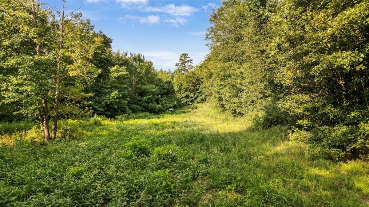 32 acres in Upshur County - photo 12