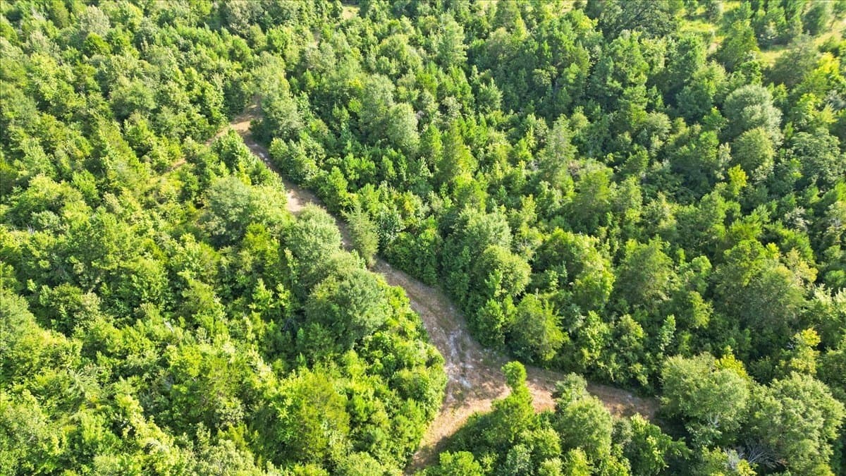 32 acres in Upshur County - photo 7