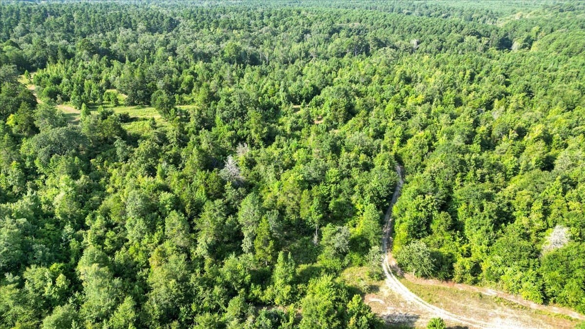 32 acres in Upshur County - photo 5