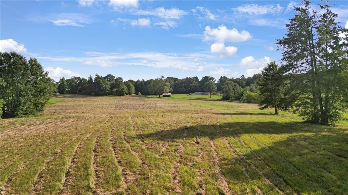 32 acres in Upshur County - photo 10