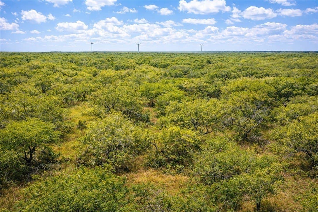 503 acres in Willacy County gallery image 3