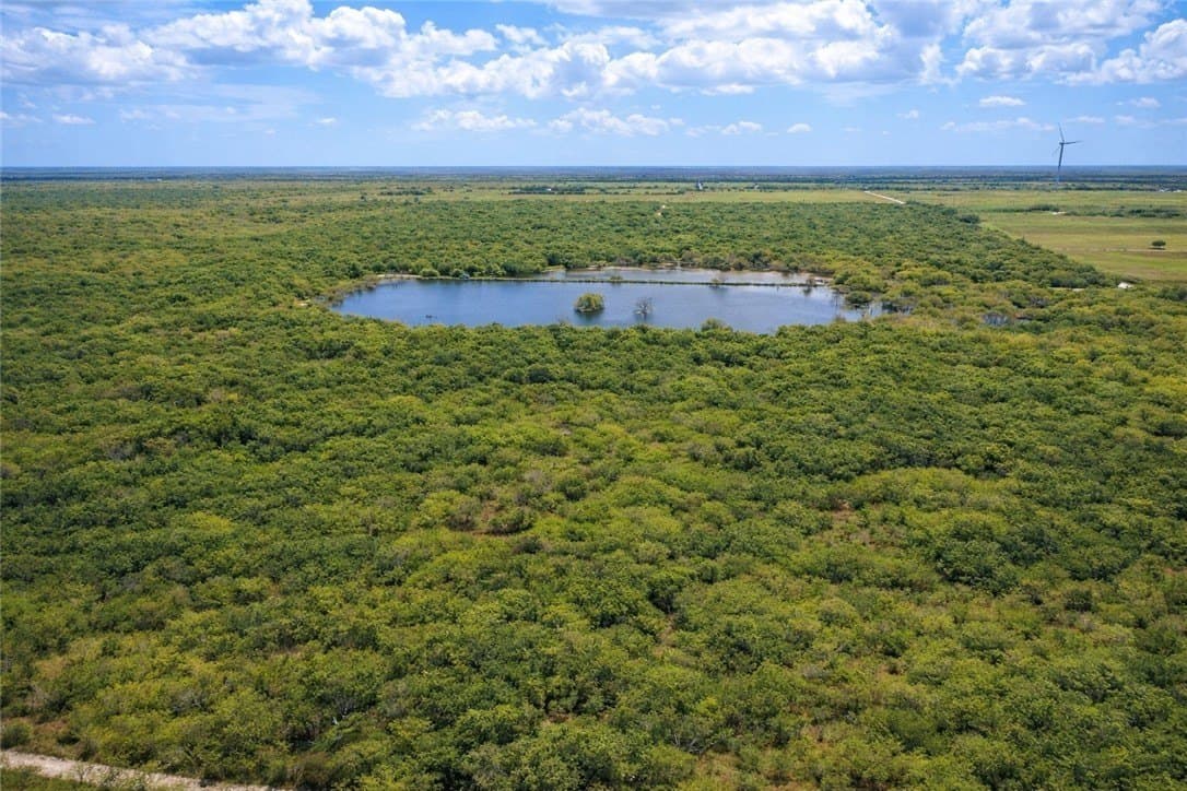 503 acres in Willacy County - photo 6