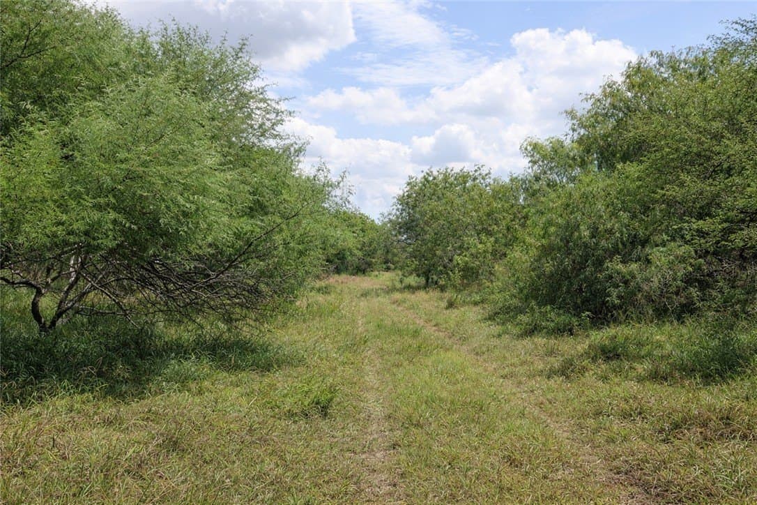 503 acres in Willacy County - photo 8