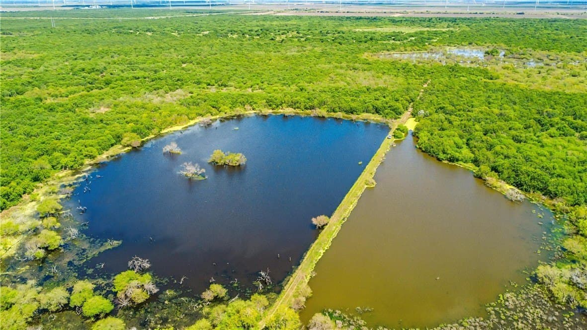 503 acres in Willacy County - photo 9