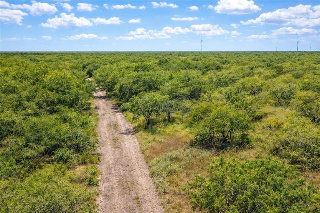 503 acres in Willacy County gallery image 4