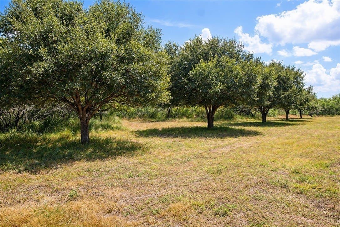 503 acres in Willacy County - photo 7