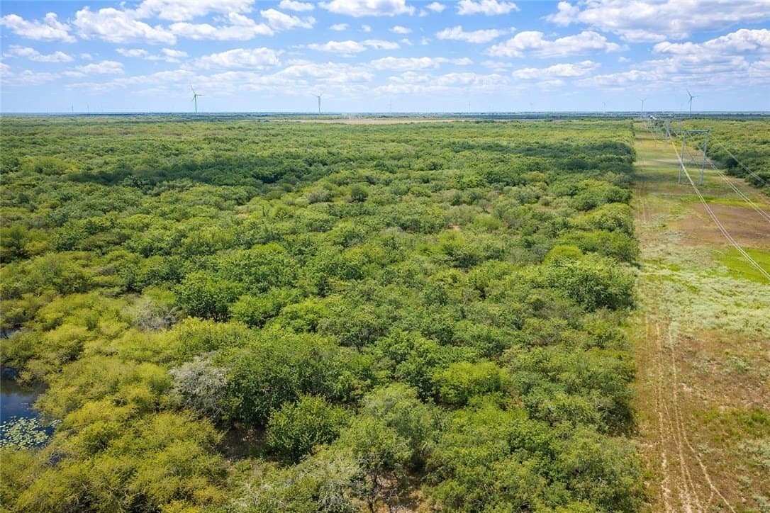 503 acres in Willacy County featured view