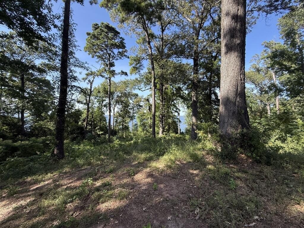 2.13 acres in Texas County - photo 6