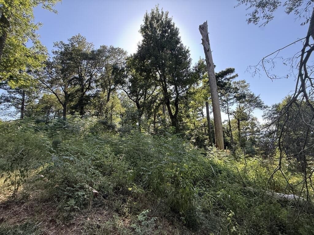 2.13 acres in Texas County - photo 2