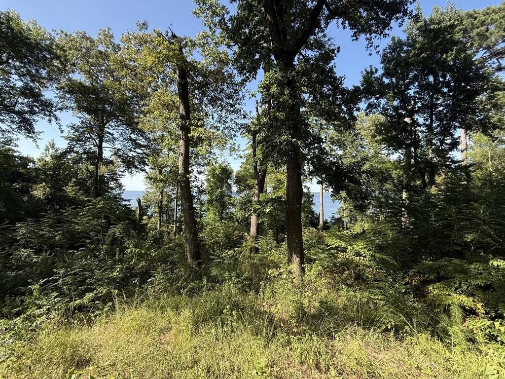 2.13 acres in Texas County - photo 13