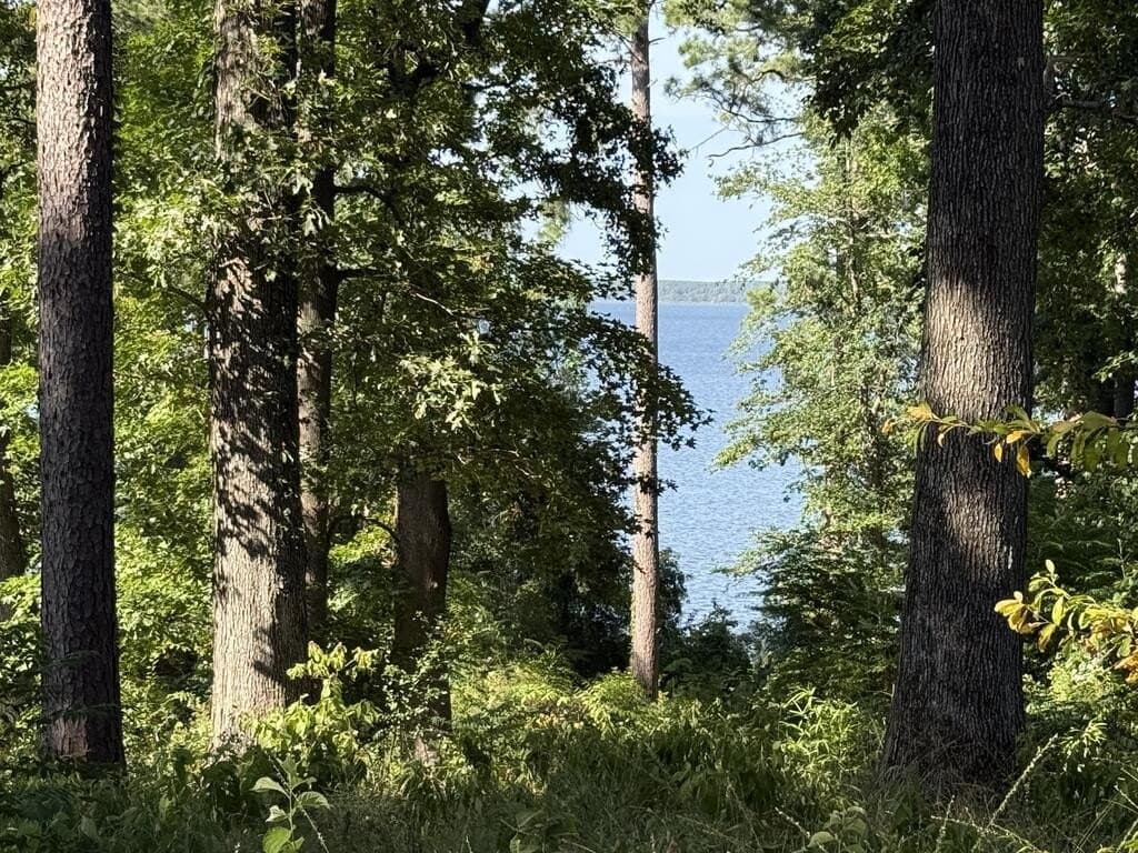 2.13 acres in Texas County - photo 8