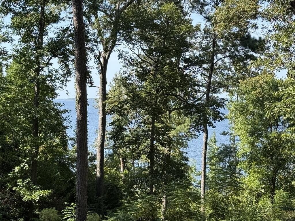 2.13 acres in Texas County - photo 12