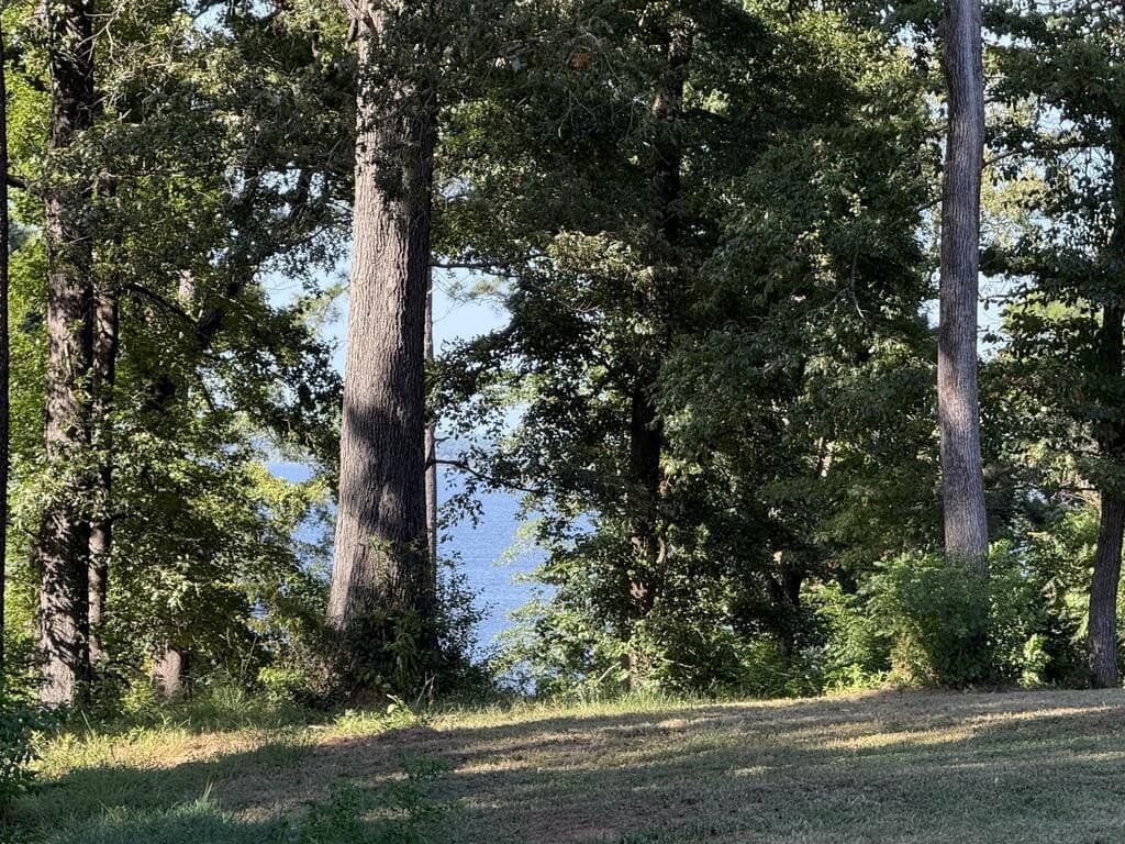2.13 acres in Texas County - photo 27