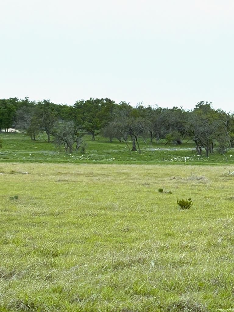 18 acres in Gillespie County gallery image 4
