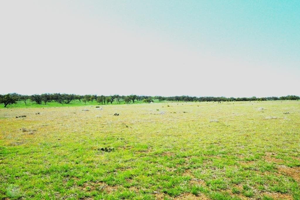 18 acres in Gillespie County gallery image 3