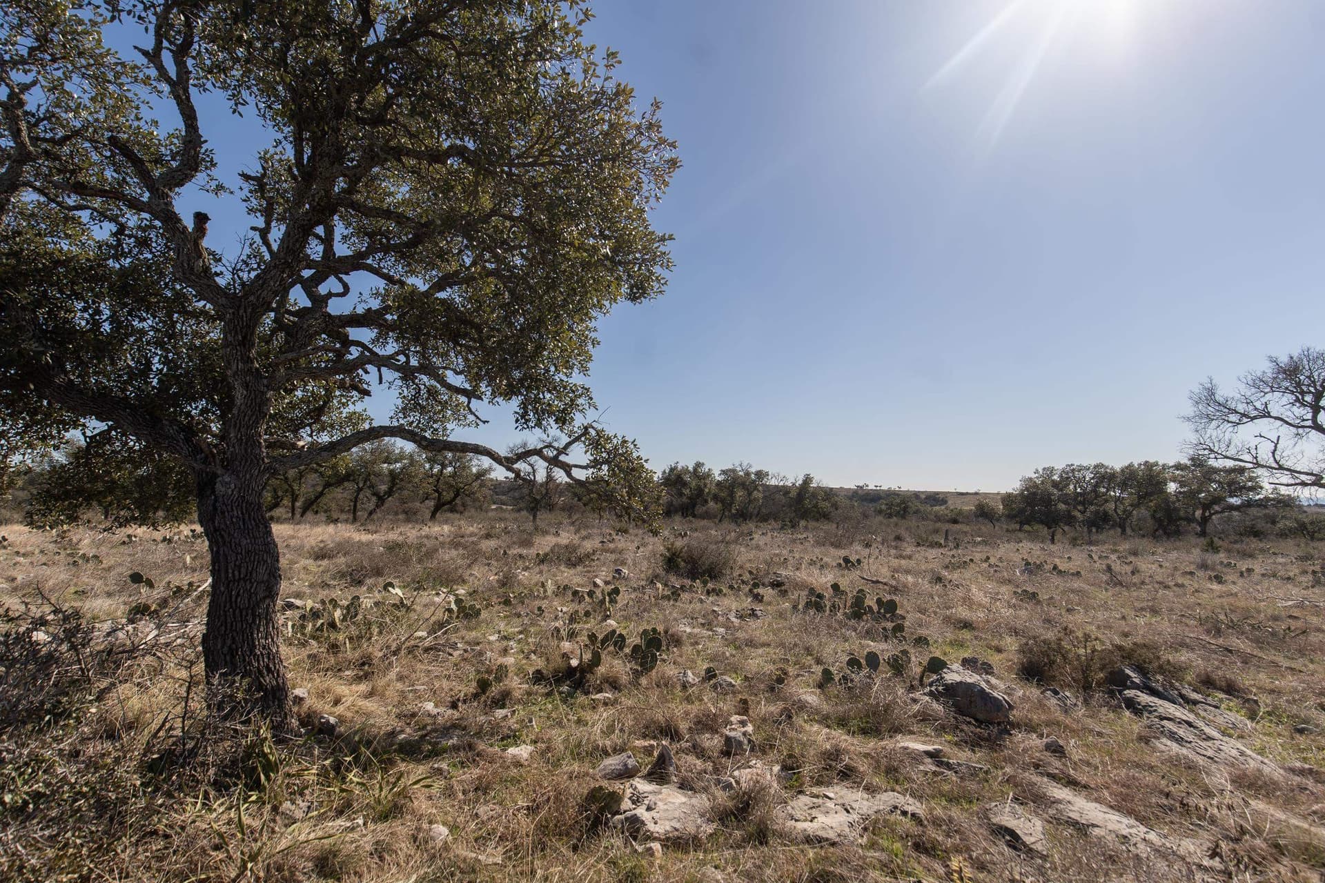 2.44 acres in Burnet County - photo 14