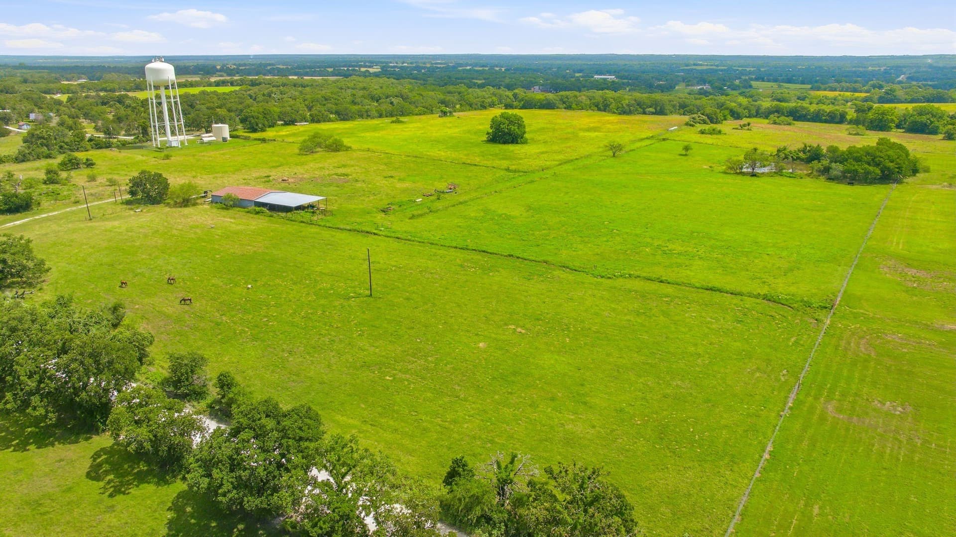 54.63 acres in Hill County - photo 5