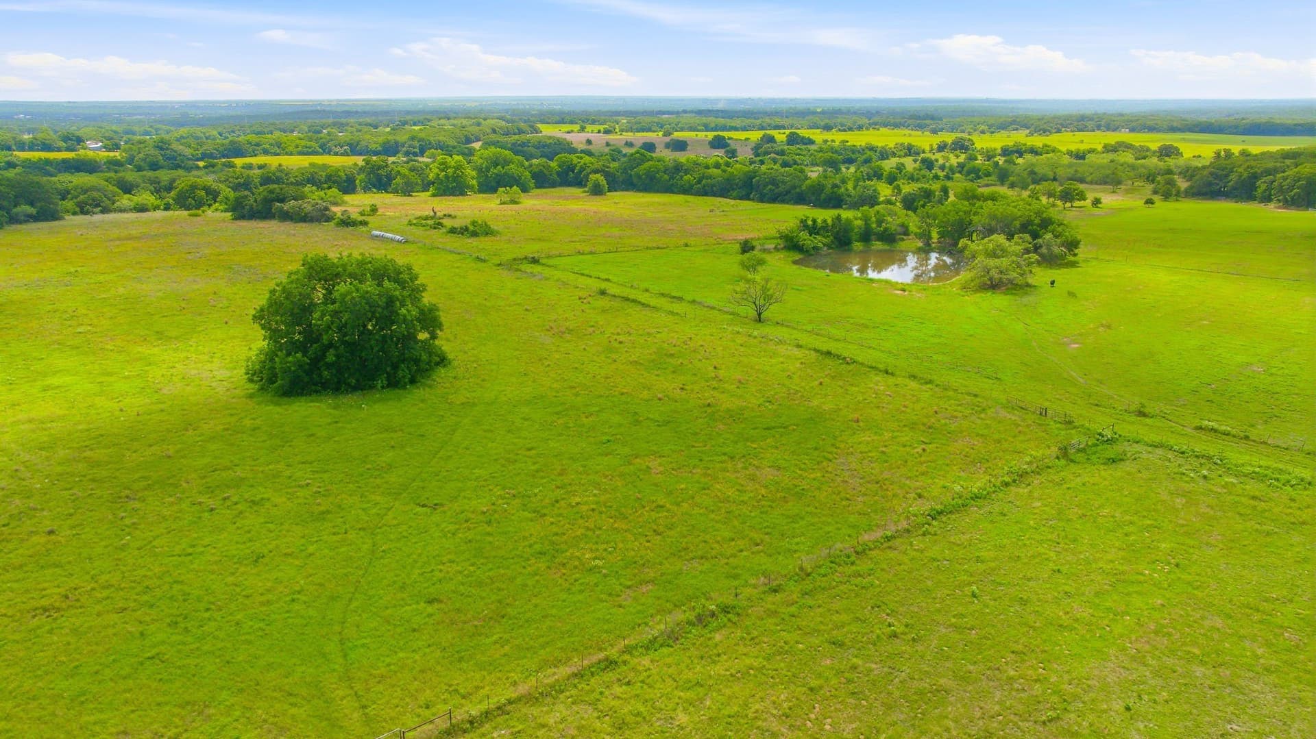 54.63 acres in Hill County - photo 31