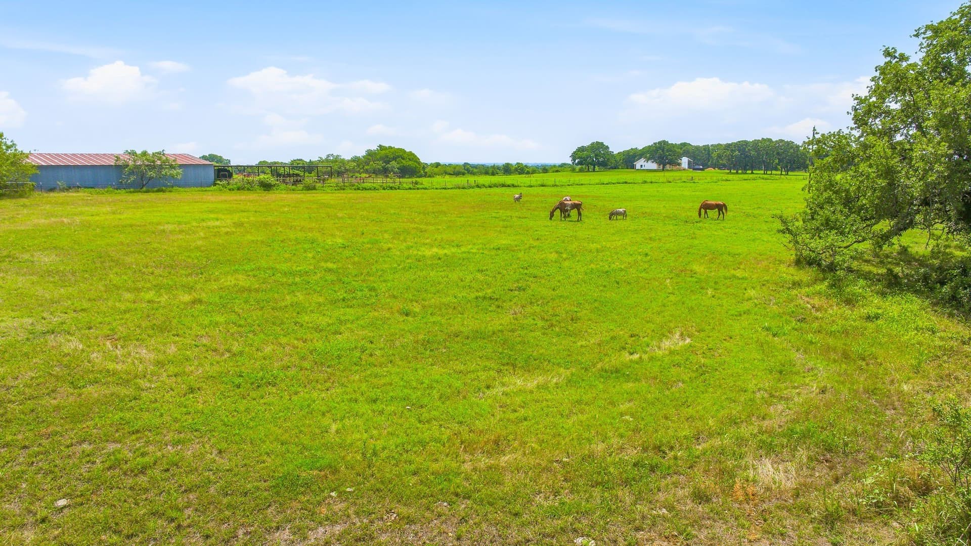 54.63 acres in Hill County - photo 7
