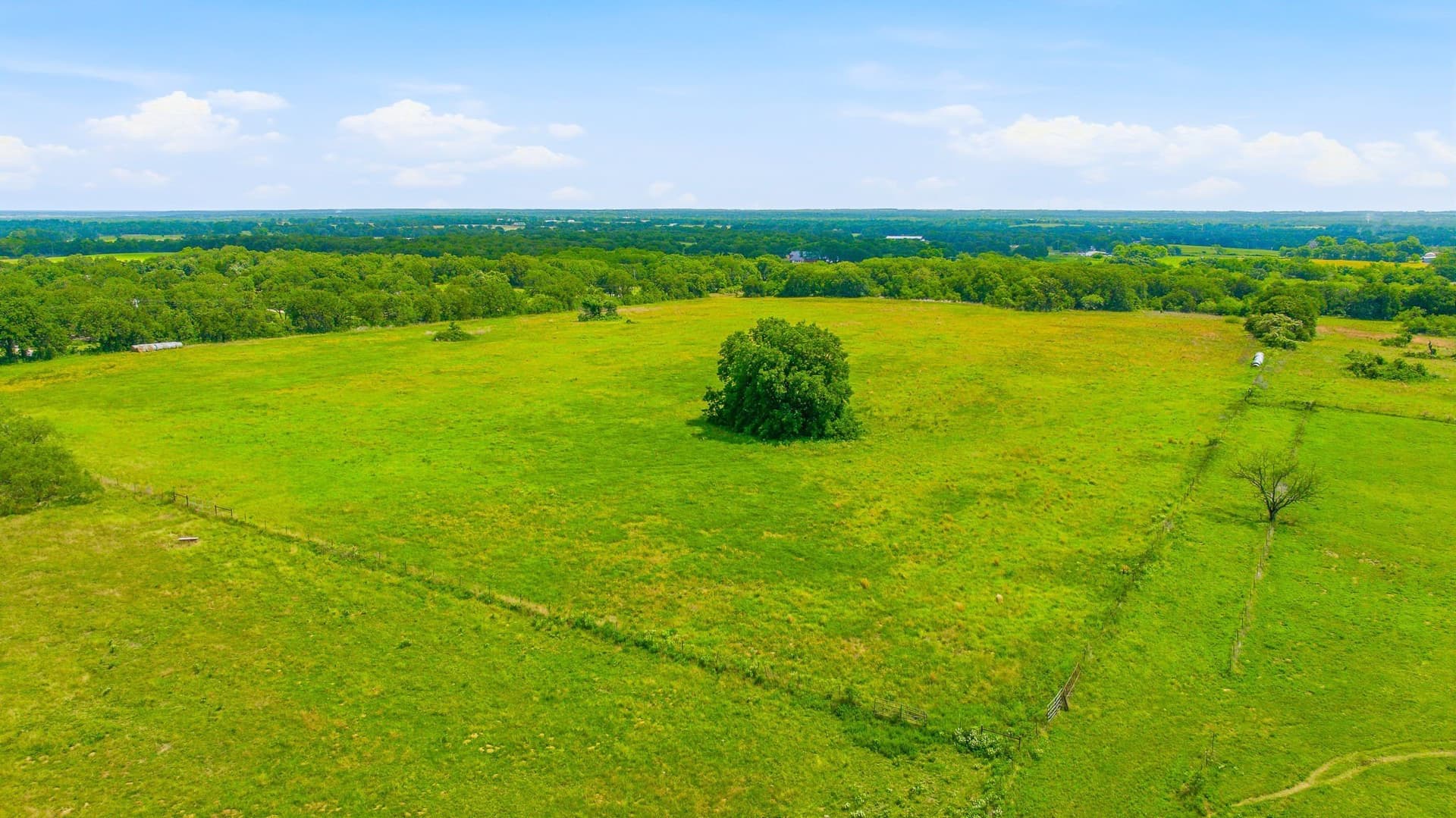 54.63 acres in Hill County - photo 12