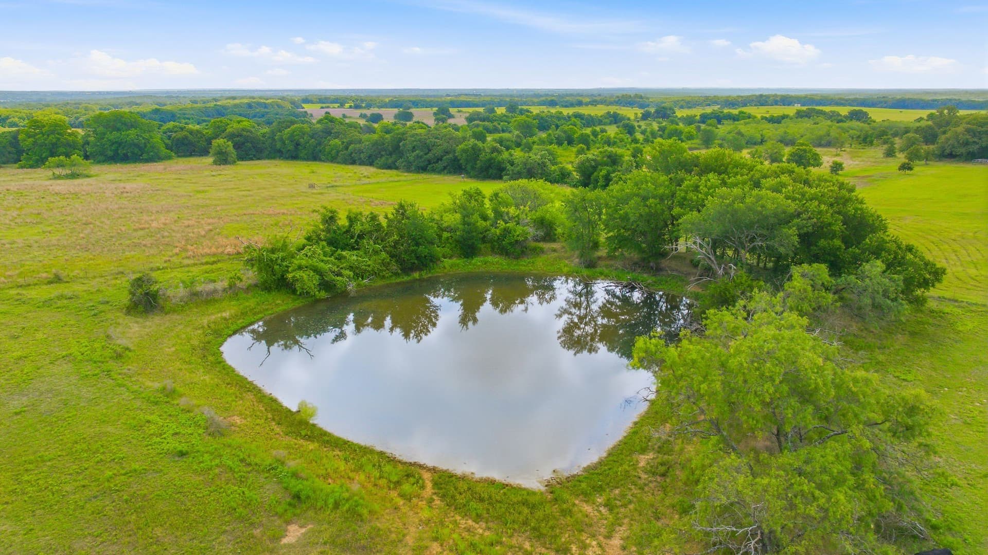 54.63 acres in Hill County - photo 17
