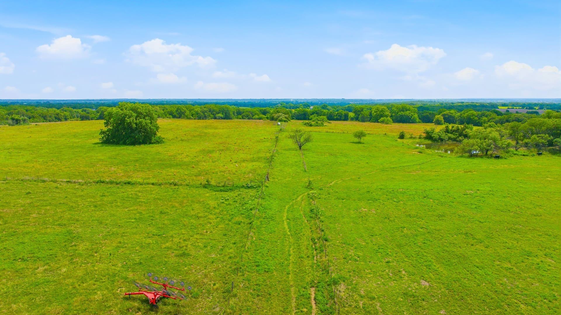 54.63 acres in Hill County - photo 11