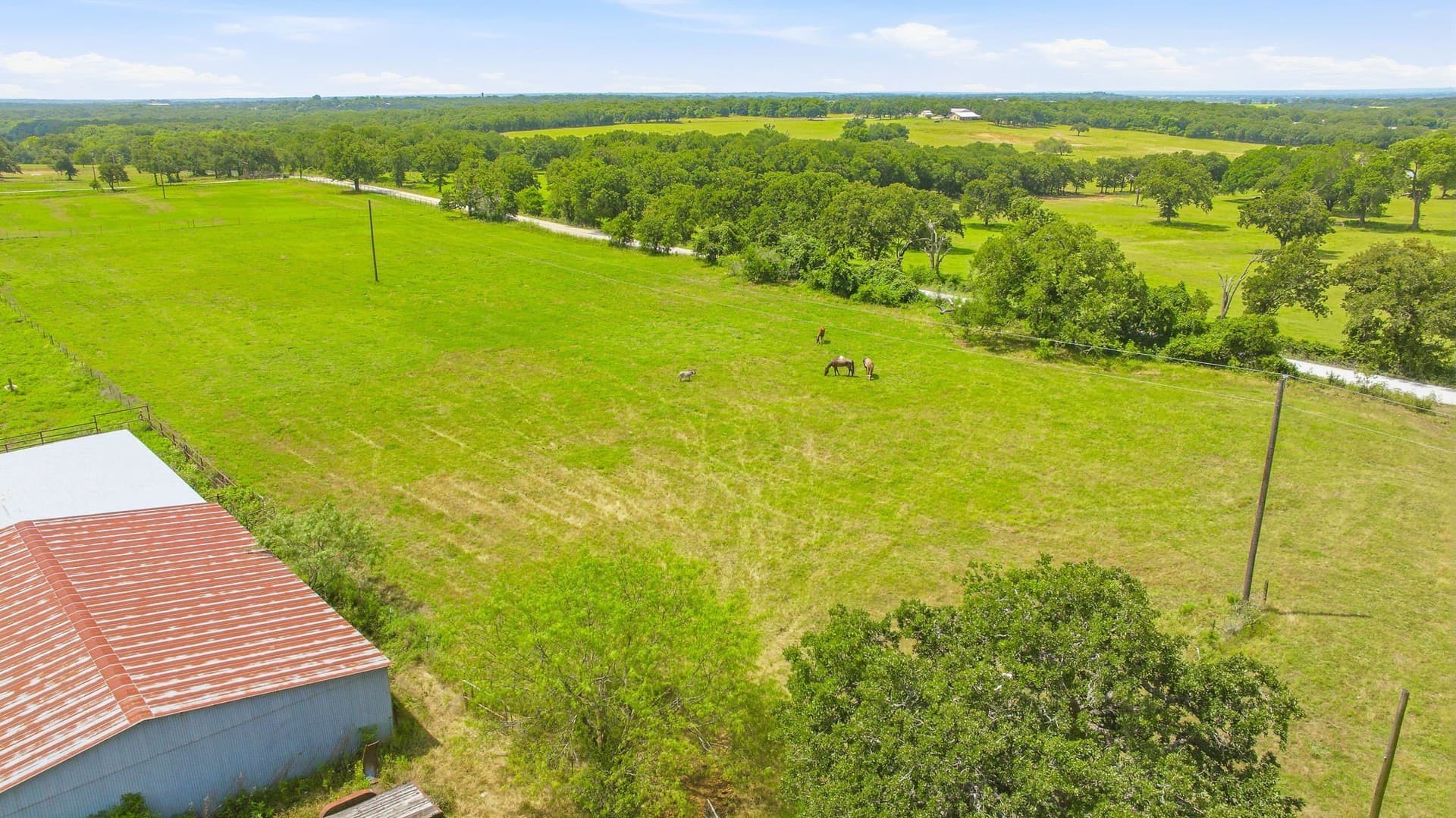 54.63 acres in Hill County - photo 10