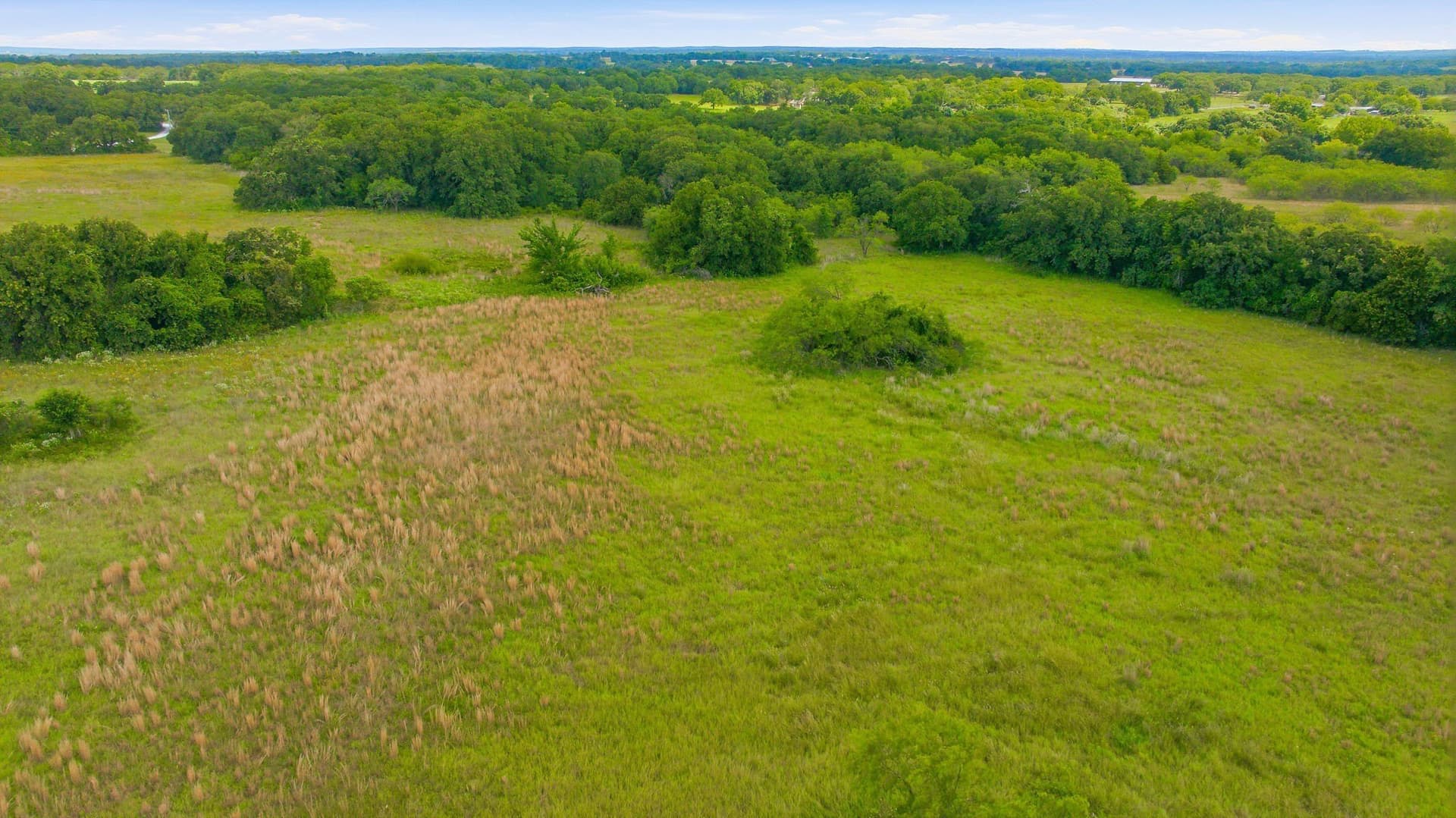 54.63 acres in Hill County - photo 19