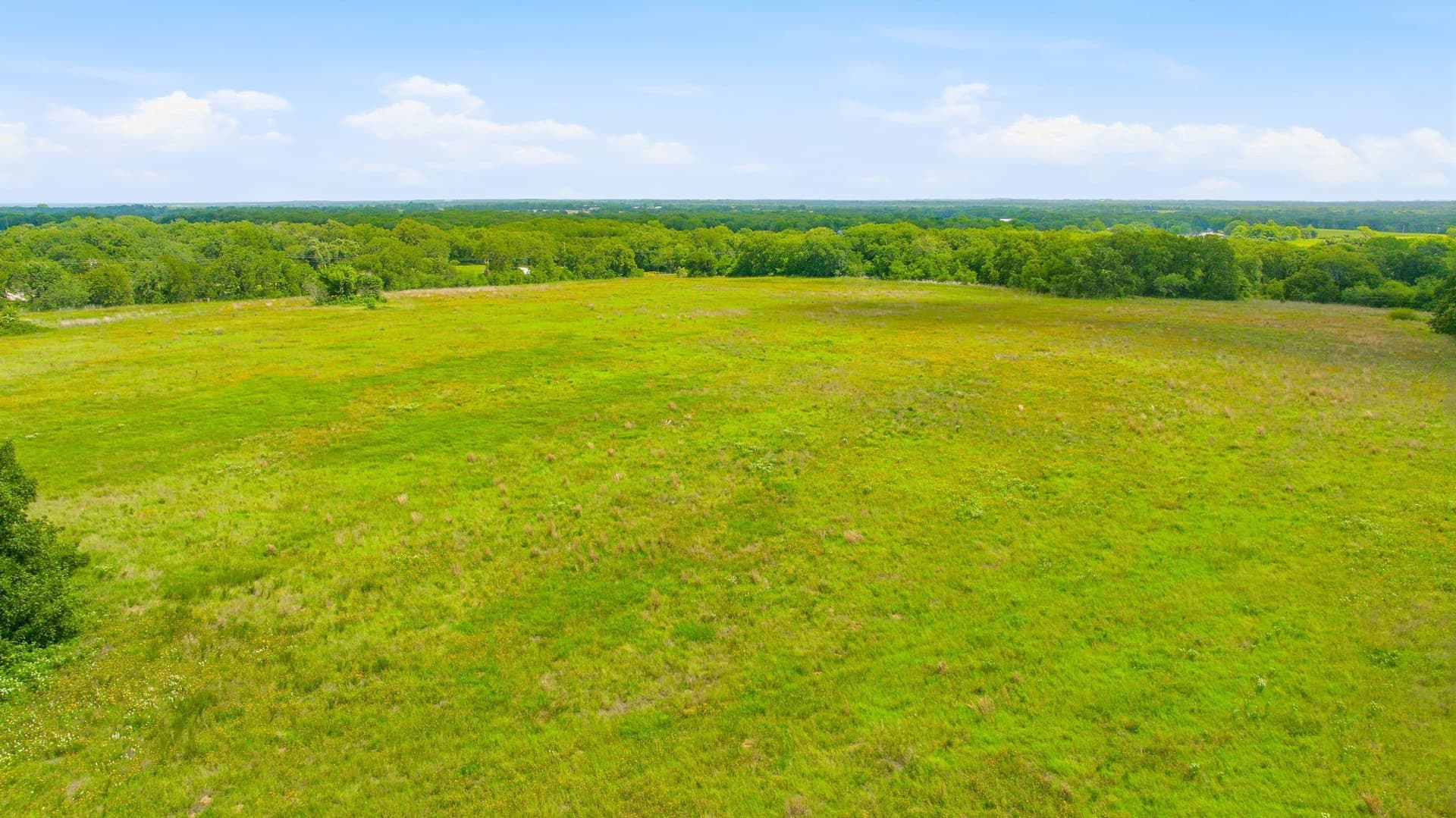 54.63 acres in Hill County - photo 13