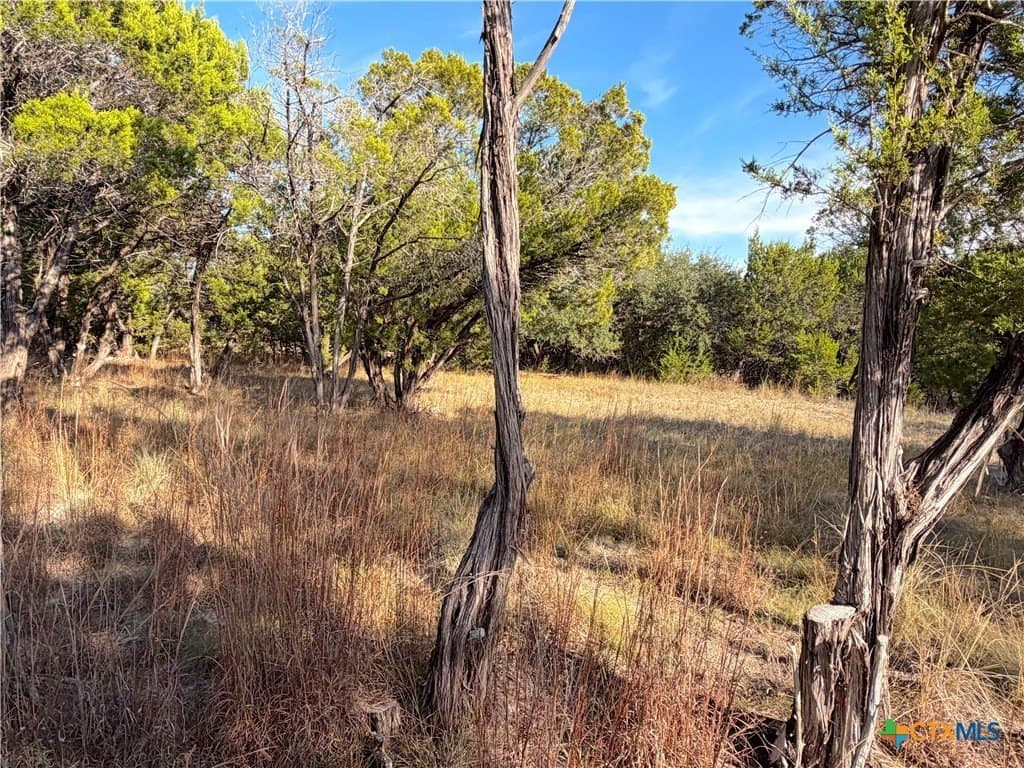 1.21 acres in Comal County gallery image 3
