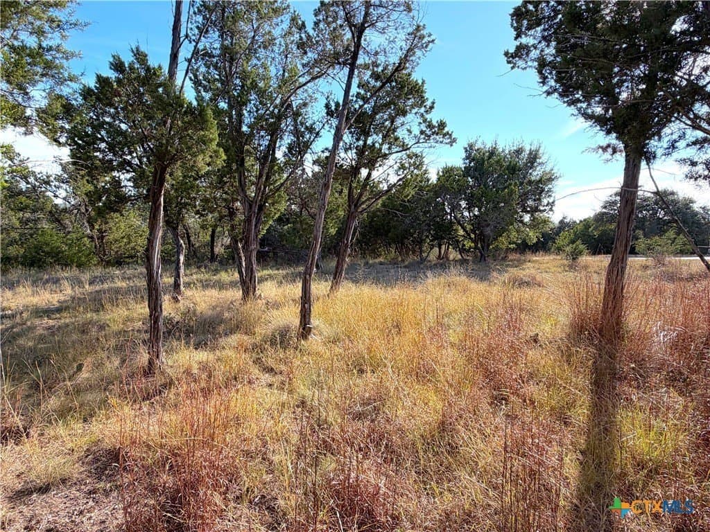 1.21 acres in Comal County - photo 13