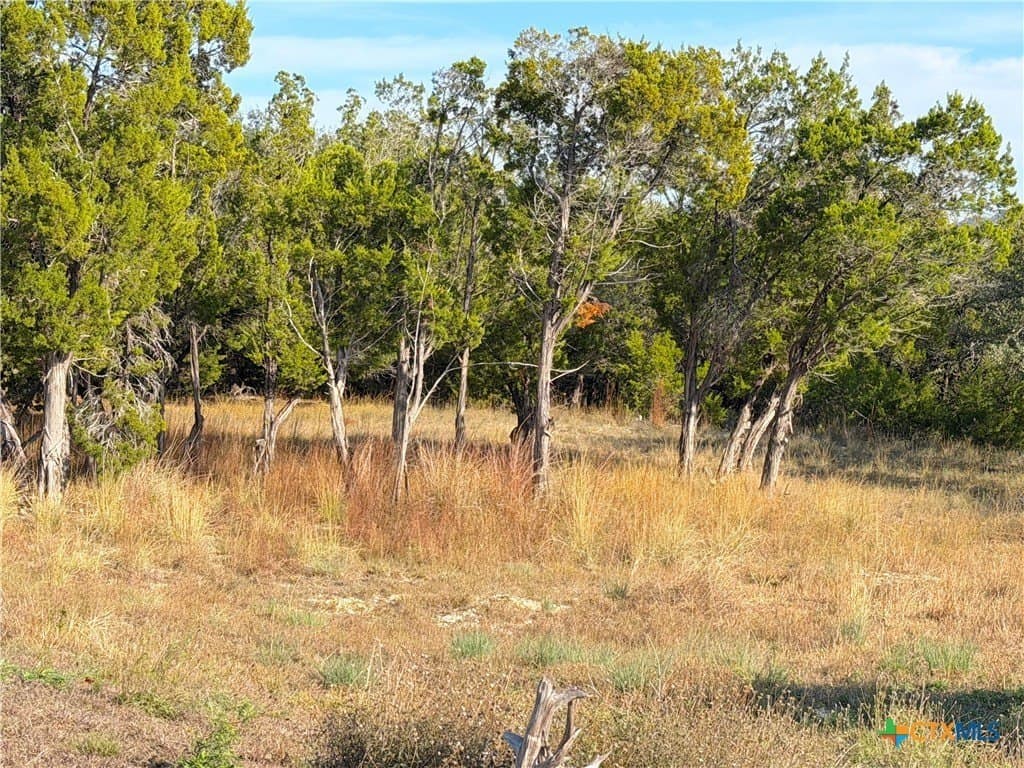 1.21 acres in Comal County gallery image 4