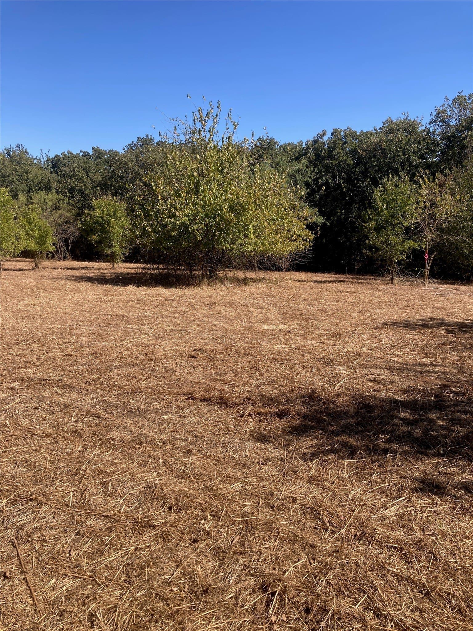 2.39 acres in Johnson County - photo 3