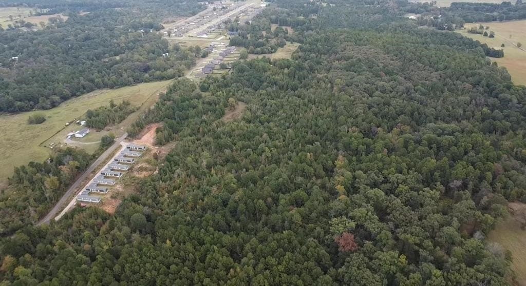 49 acres in Harrison County - photo 9