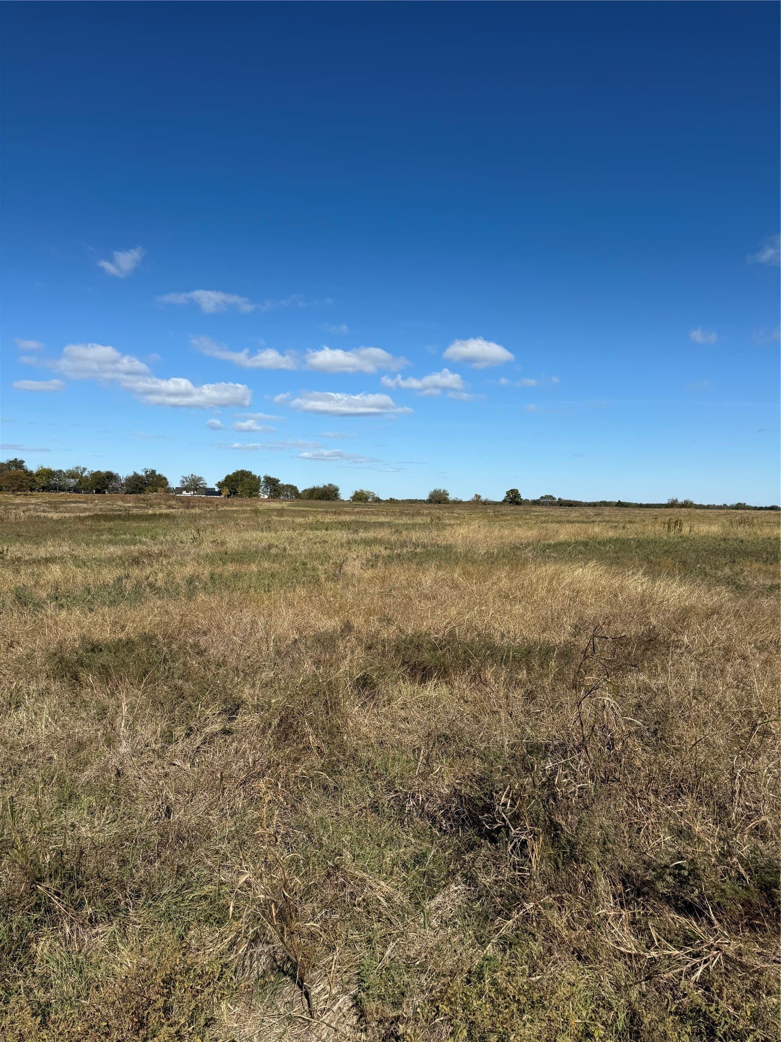 11 acres in Grayson County - photo 10