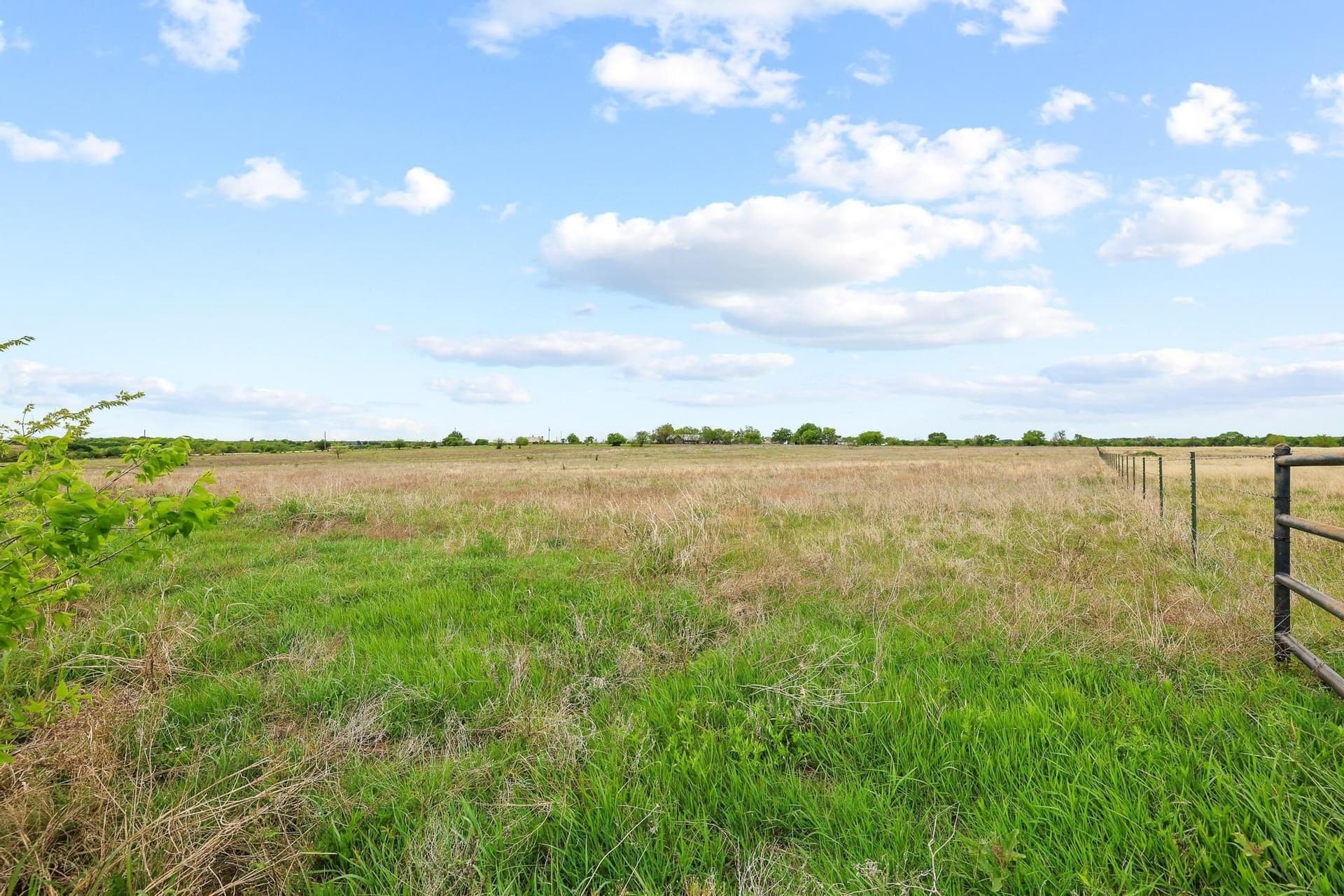 11 acres in Grayson County - photo 39