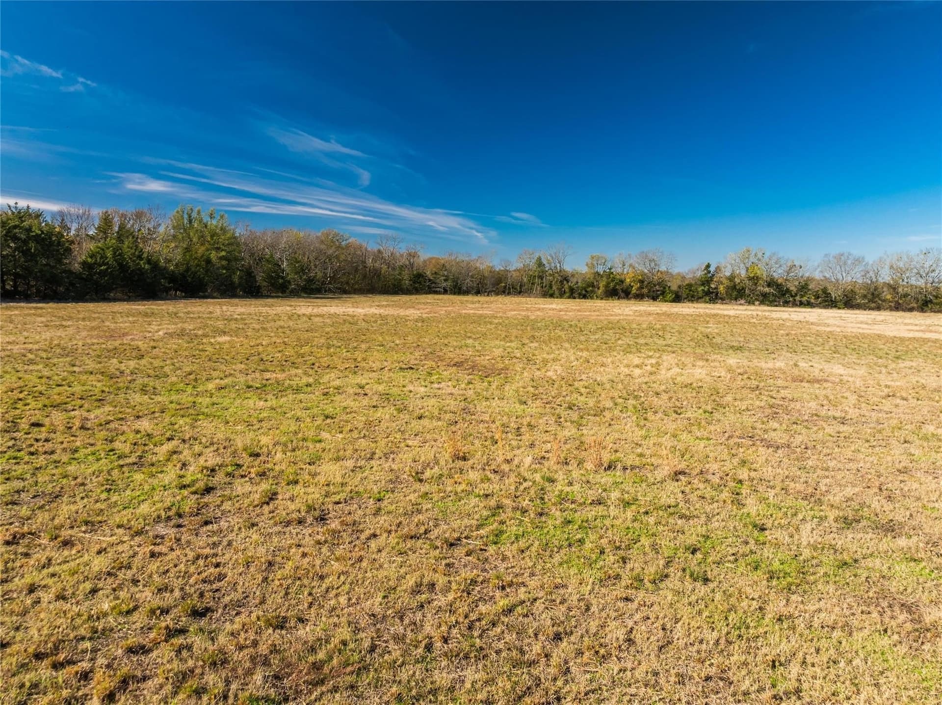 25 acres in Lamar County - photo 12