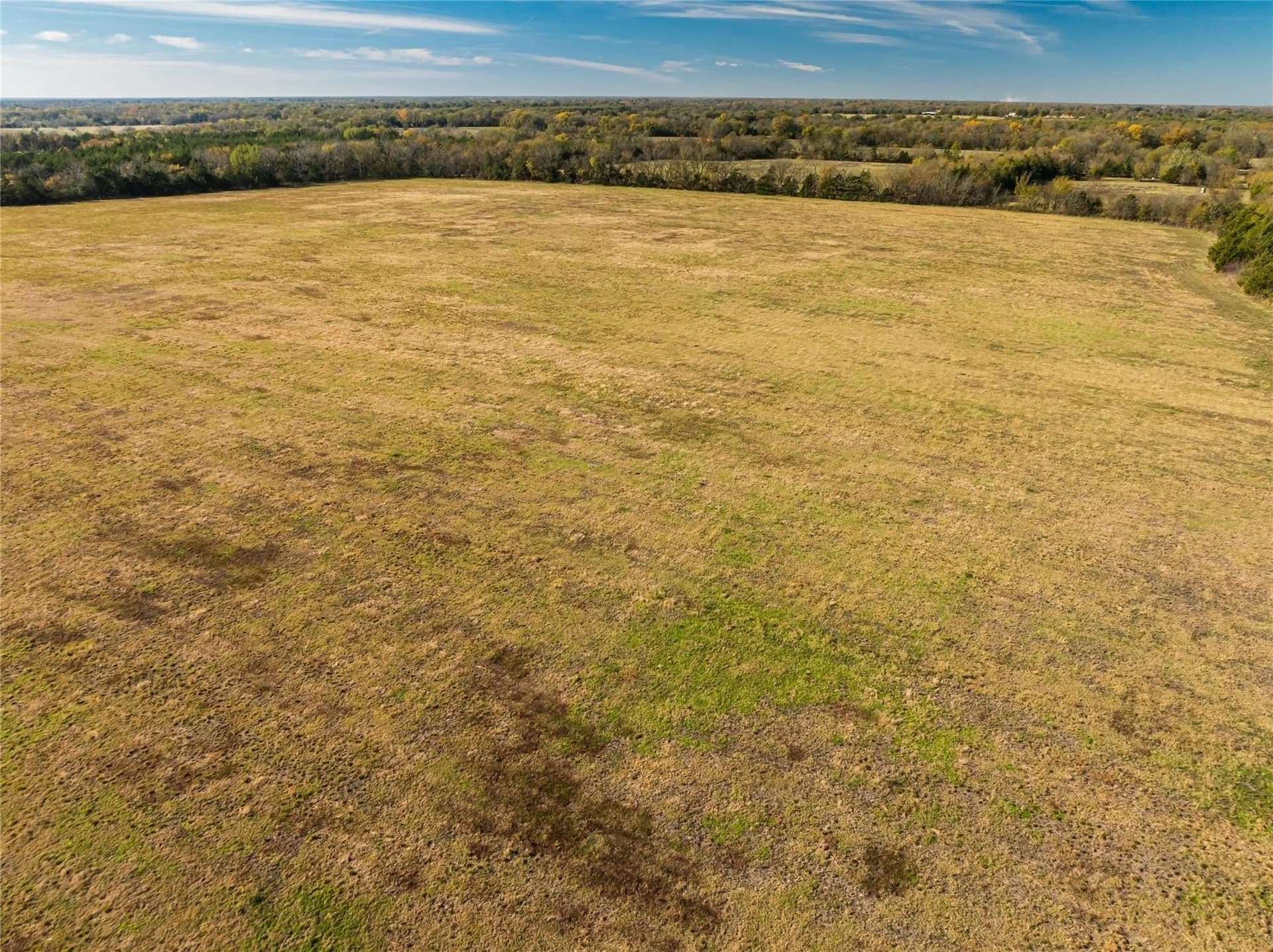 25 acres in Lamar County - photo 11