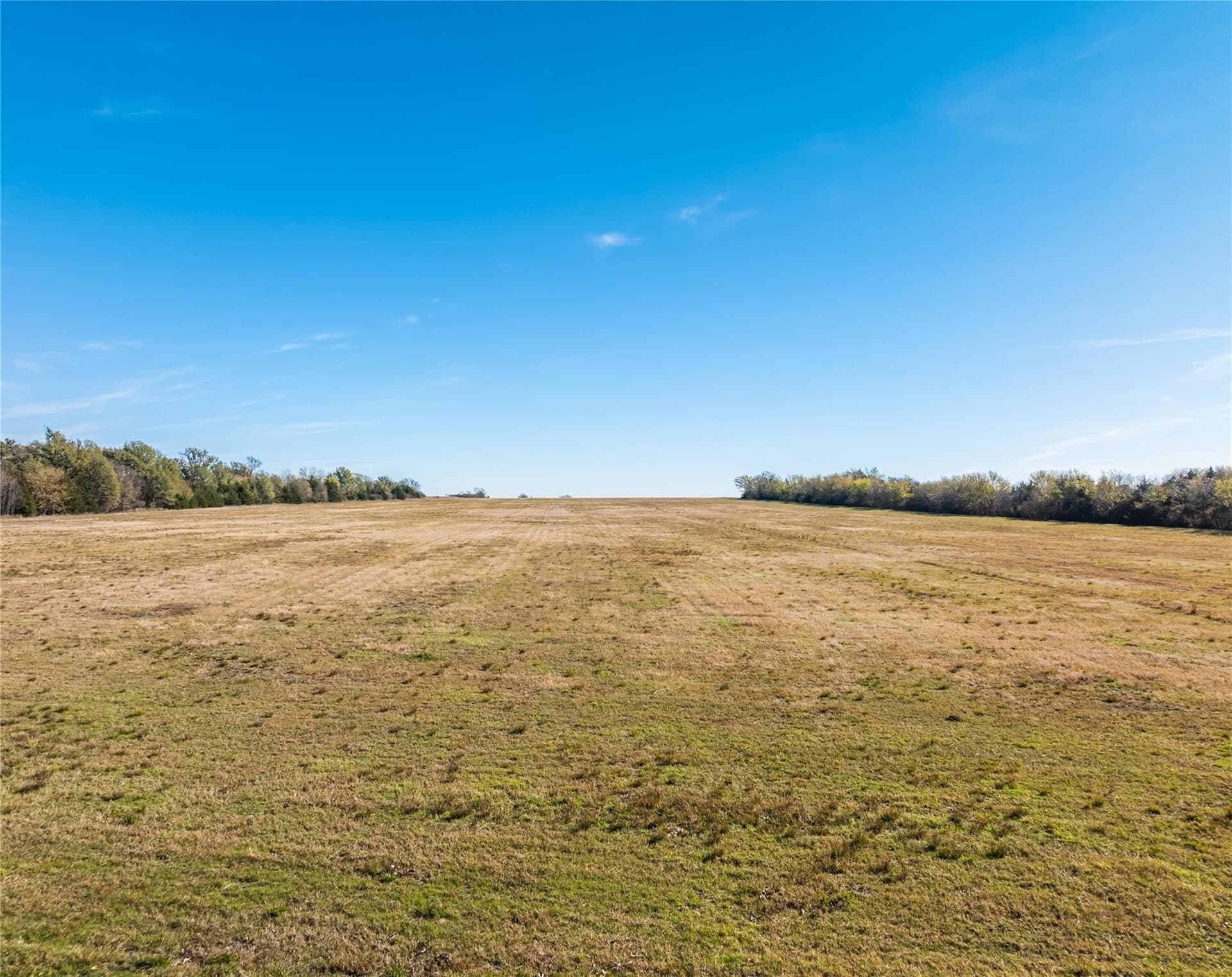 25 acres in Lamar County - photo 6