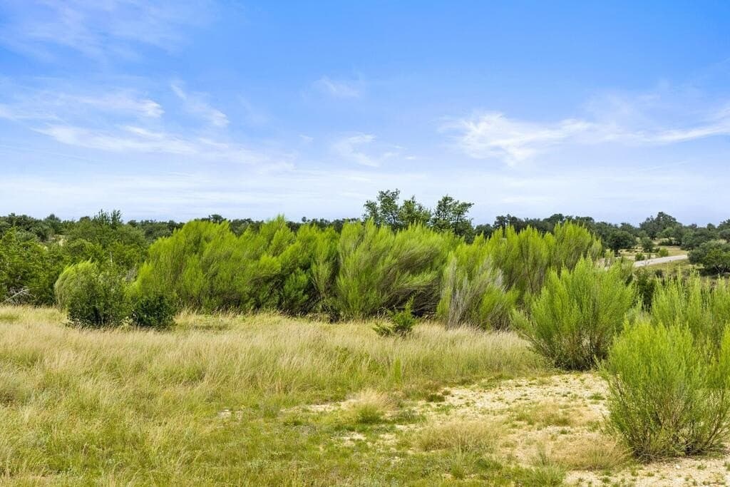 7.53 acres in Blanco County - photo 17