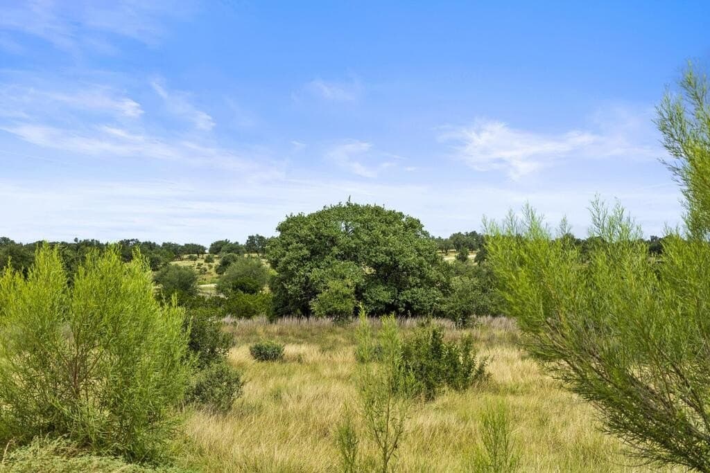 7.53 acres in Blanco County - photo 16