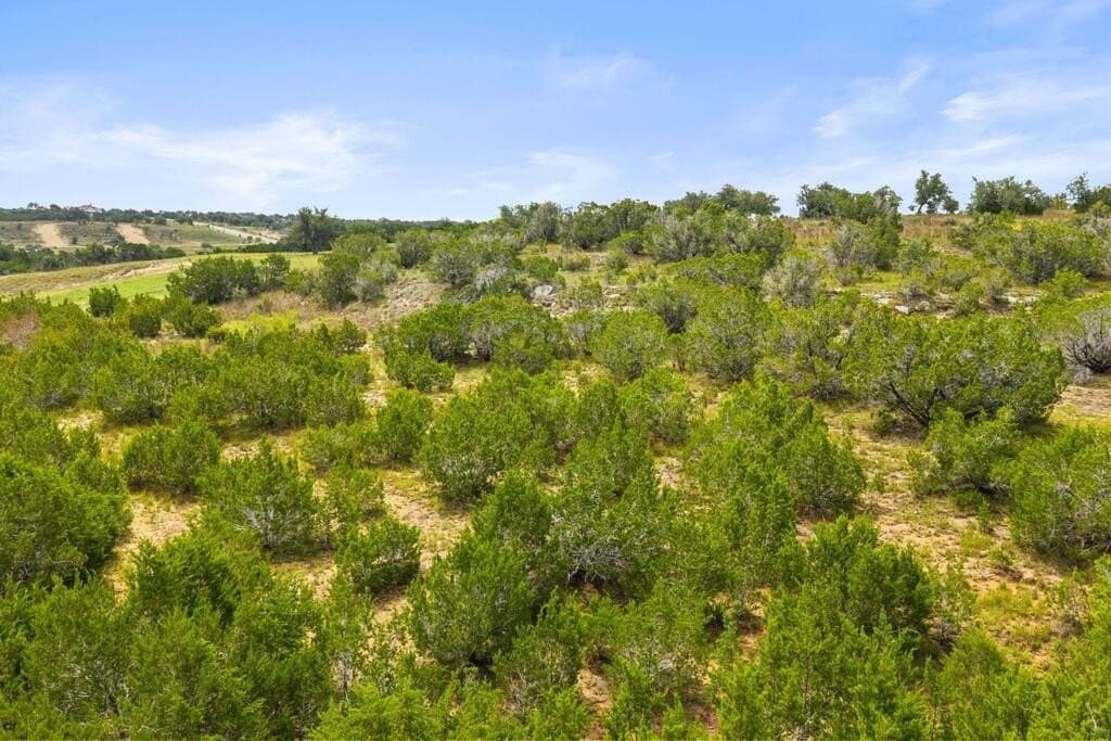 7.53 acres in Blanco County - photo 14