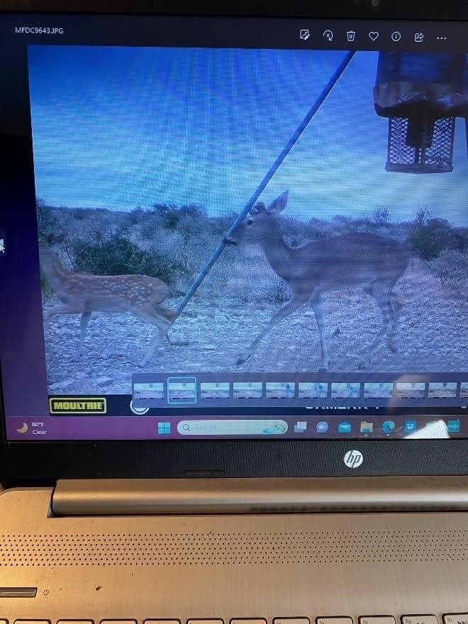 47.59 acres in Val Verde County gallery image 3