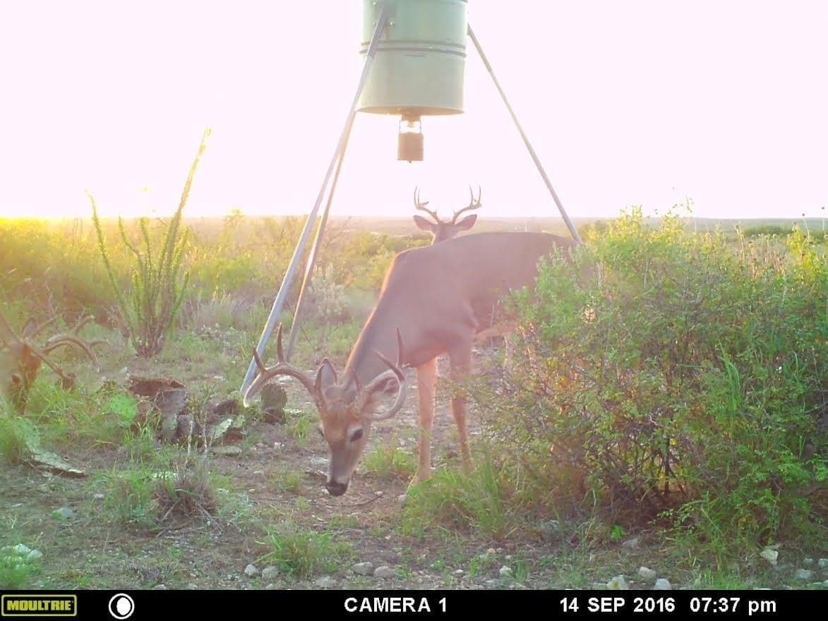 47.59 acres in Val Verde County