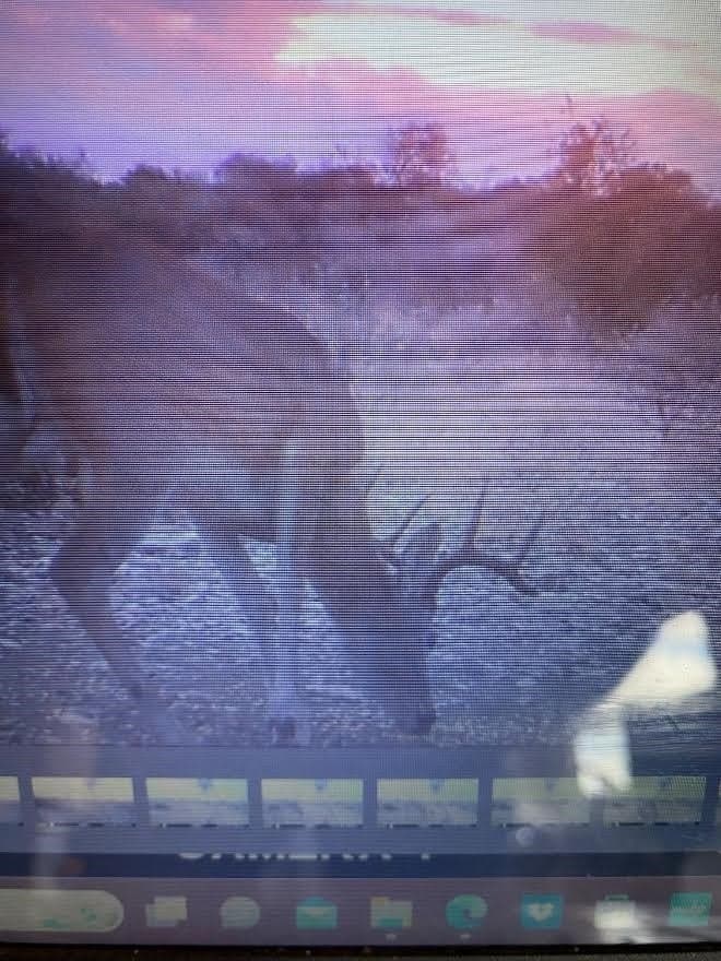 47.59 acres in Val Verde County gallery image 4