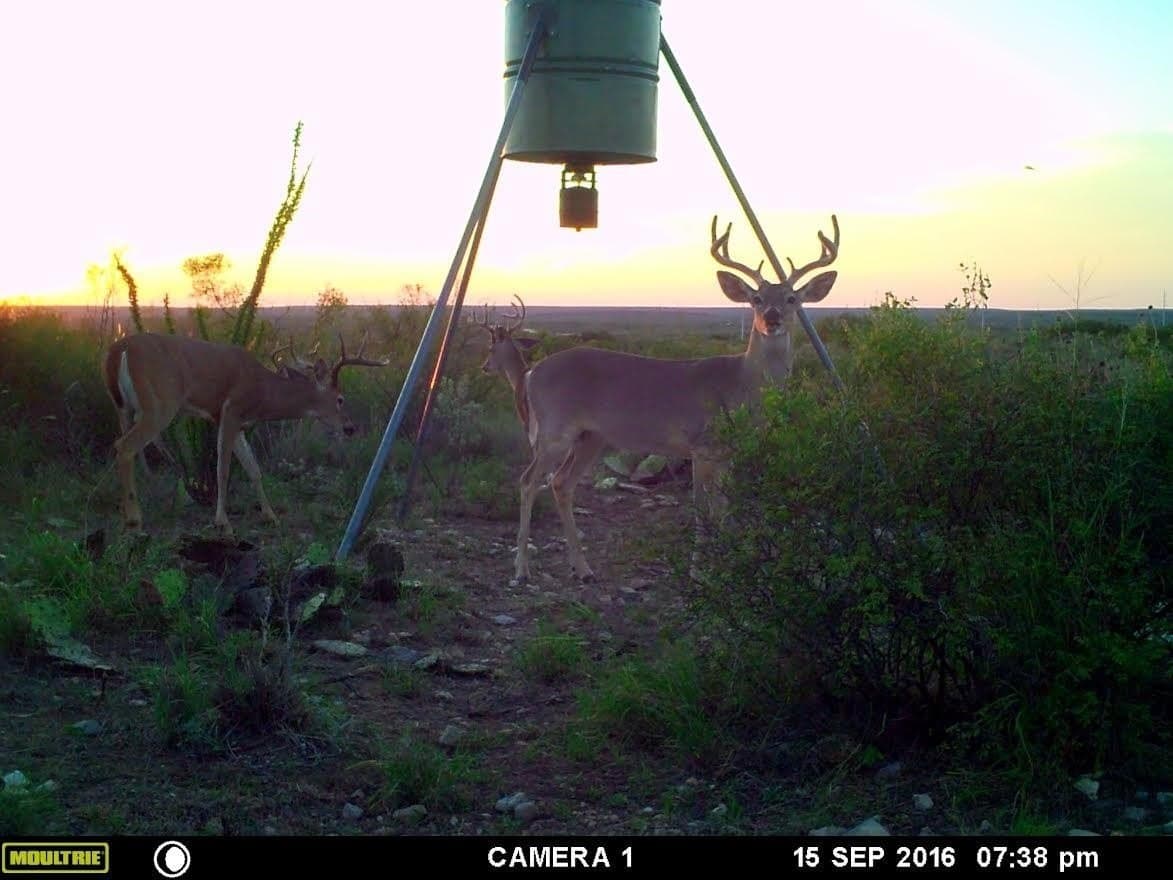 47.59 acres in Val Verde County gallery image 2