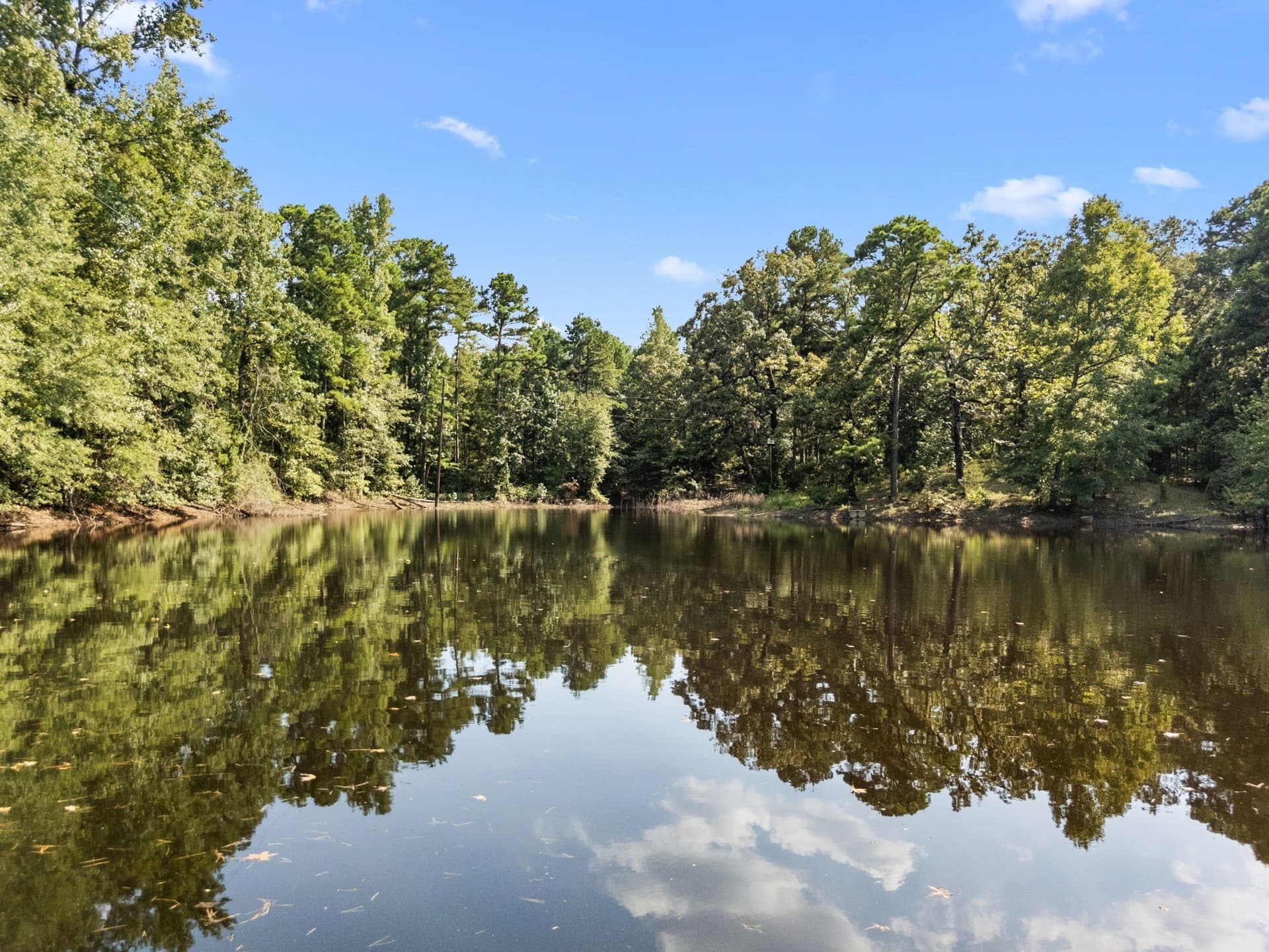 37.72 acres in Wood County - photo 7