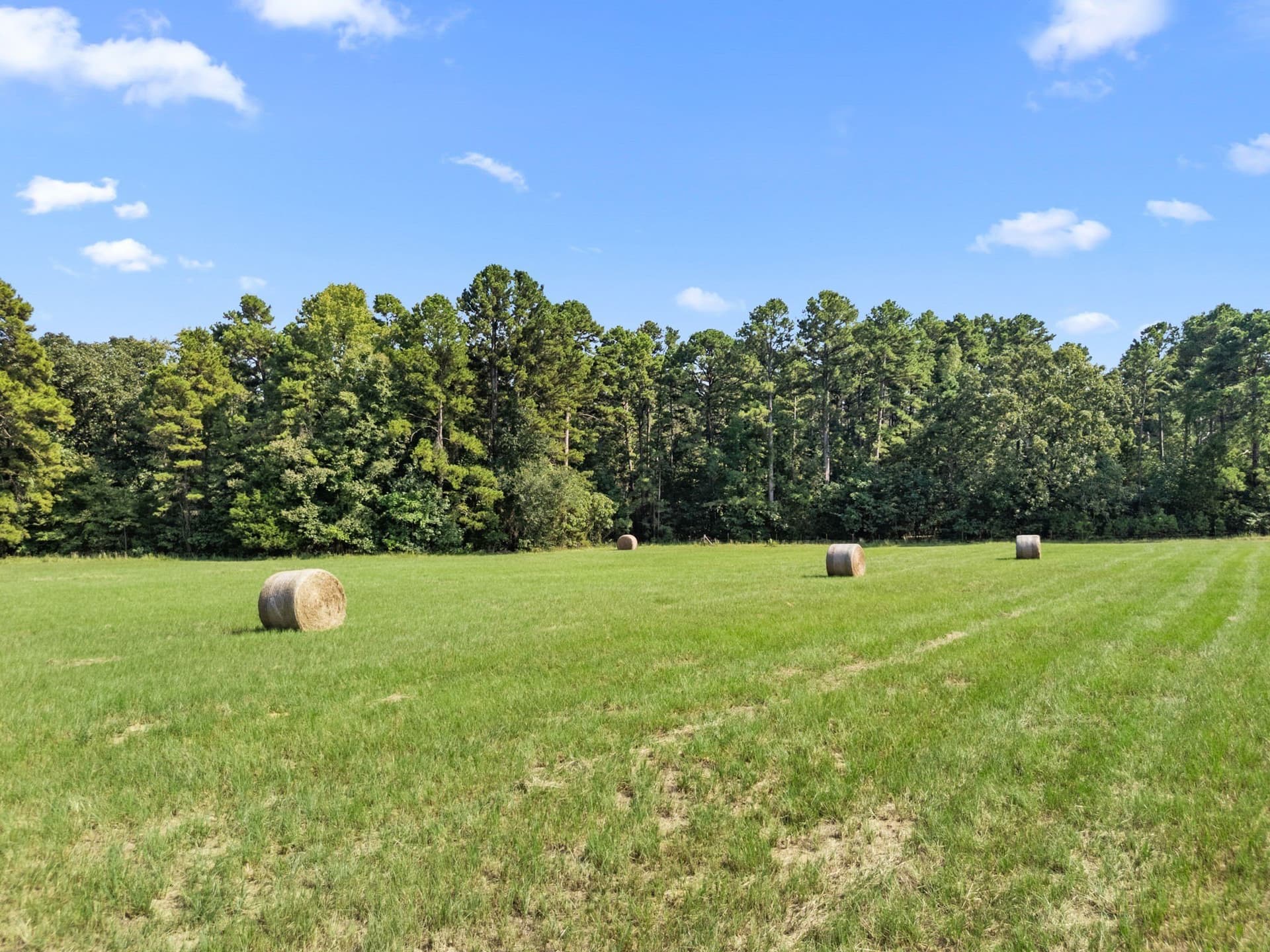 37.72 acres in Wood County gallery image 4