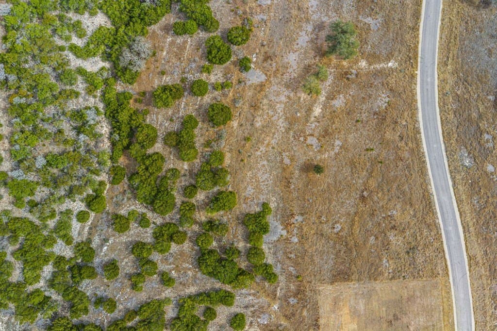 3.01 acres in Gillespie County gallery image 3